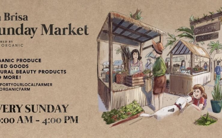 Sunday Market at La Brisa